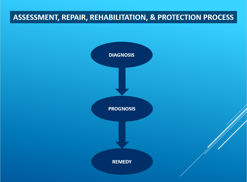 Assessment, repair, rehabilitation and protection process: diagnosis, prognosis and remedy